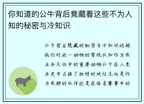 你知道的公牛背后竟藏着这些不为人知的秘密与冷知识
