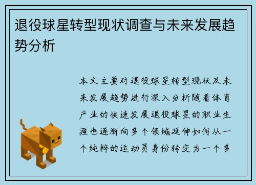退役球星转型现状调查与未来发展趋势分析