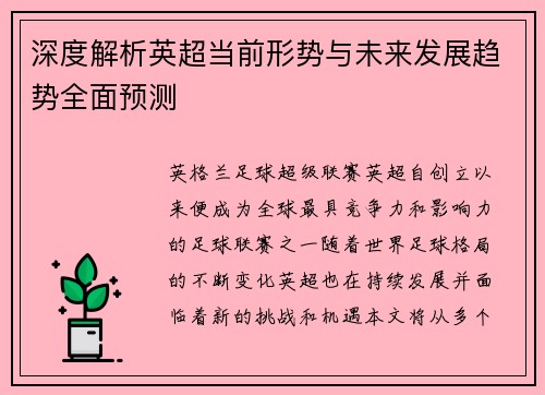 深度解析英超当前形势与未来发展趋势全面预测