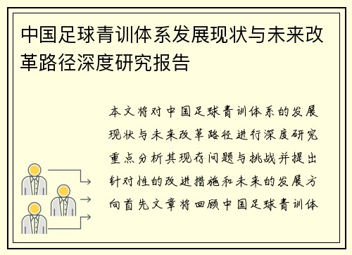 中国足球青训体系发展现状与未来改革路径深度研究报告